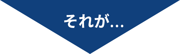 それが…