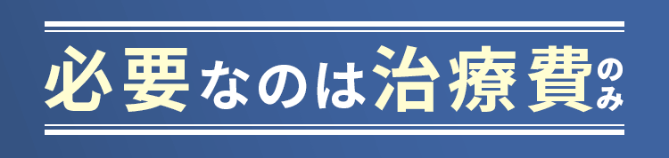 必要なのは治療費のみ